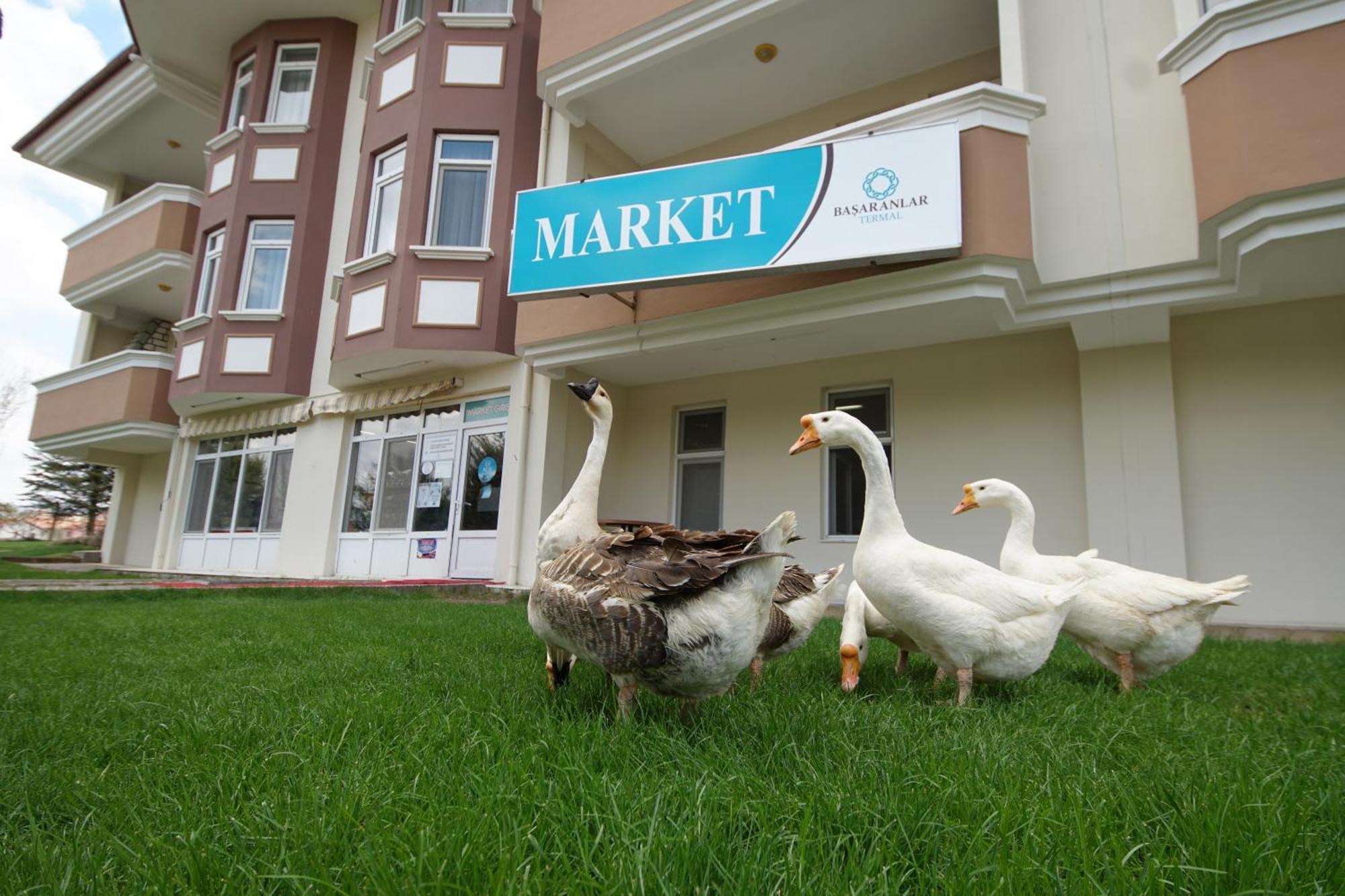 Basaranlar Thermal Otel Gazligol Ngoại thất bức ảnh